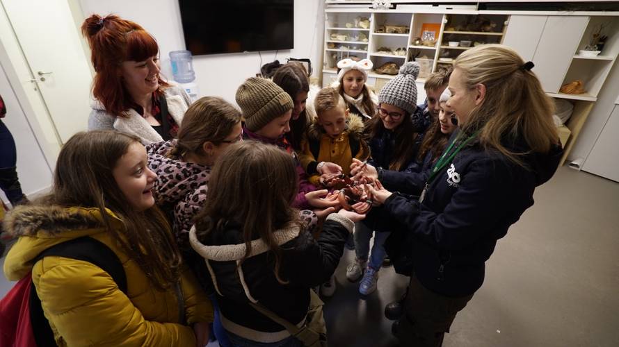 Božićno iznenađenje: Učenici iz Slavonije prvi put u Zoološkom