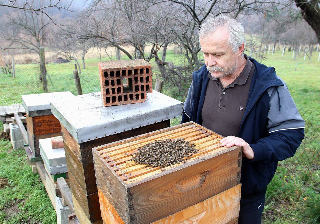 Željko Hladika/PIXSELL