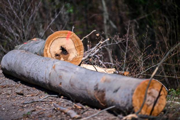 Zagreb: Posljedice olujnog nevremena na Sljemenu