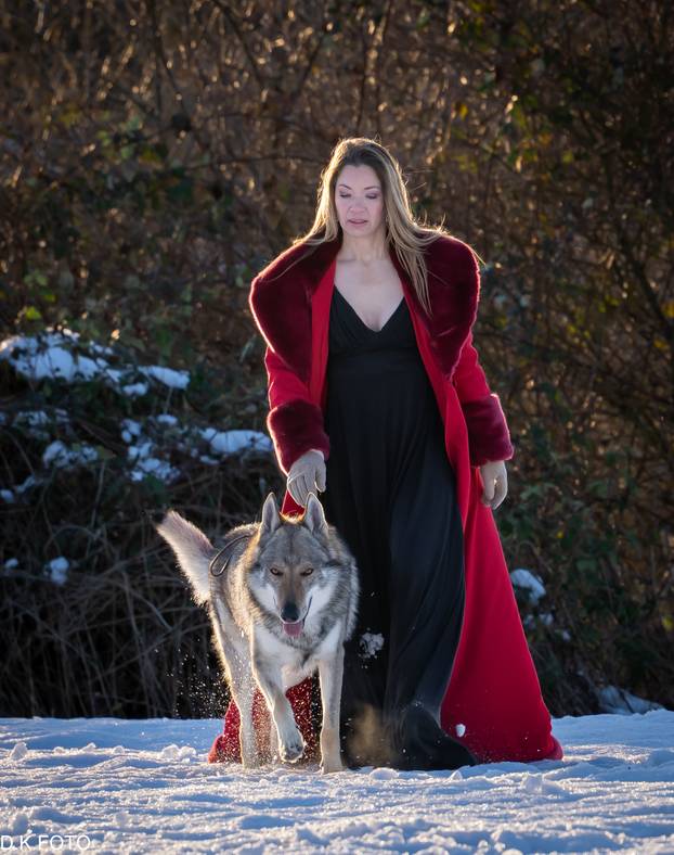 GALERIJA Nastali su od vukova, rođaci su Nazgula s Olimpijskih igara i žive kraj Velike Gorice!