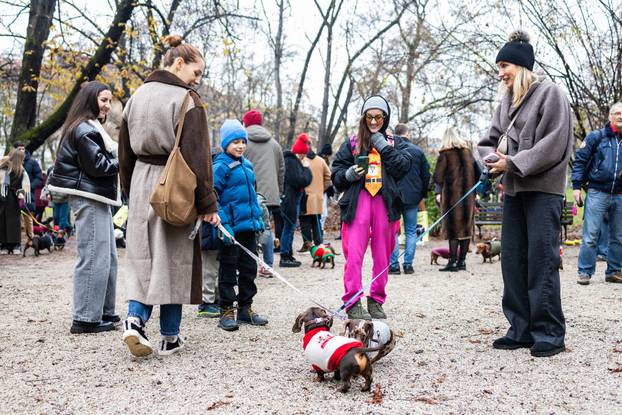 Zagreb: Adventska špica jazavčara 