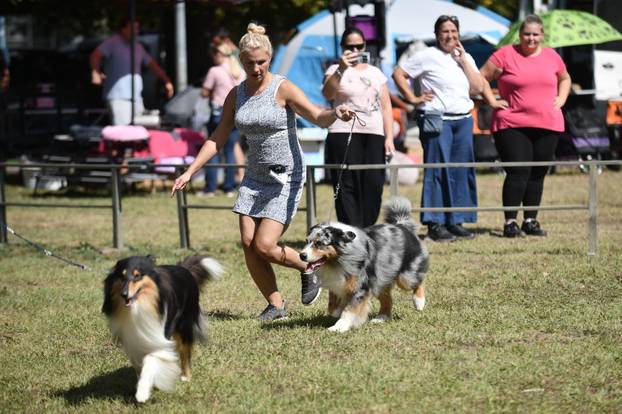 Nacionalna izložba pasa "Velika Gorica Trophy 2025"