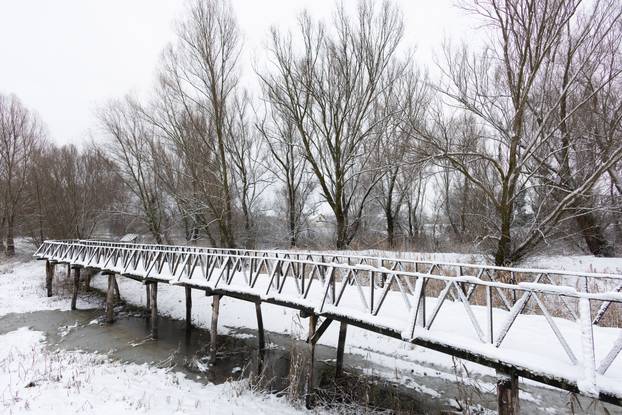 Kopački rit: Zimska idila u Baranji 