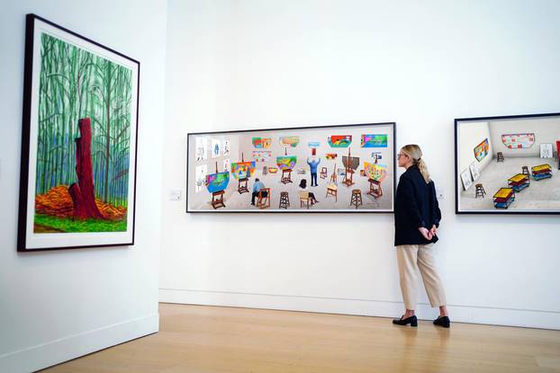 David Hockney sale