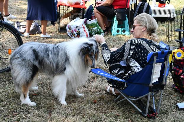 Požega: Nacionalna izložba pasa "CAC Požega 2024."