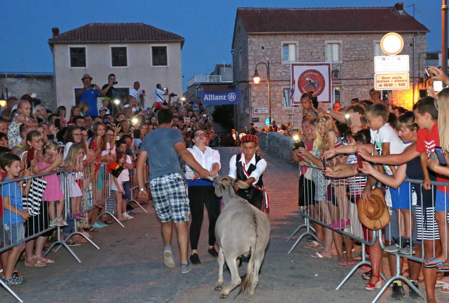 Utrka u Tribunju: Magarcu dala ime svojeg dečka pa pobijedila