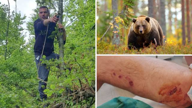 Napao ga medvjed u Lokvama: 'Iskočio je iz grma, zgrabio me za nogu, bacio na tlo i grizao'