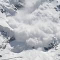 Psi su lavežom spasili vlasnike zatrpane lavinom u Švicarskoj