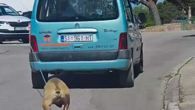 UZNEMIRUJUĆA SNIMKA  U Šibeniku vezao psa za auto i vukao ga po cesti...