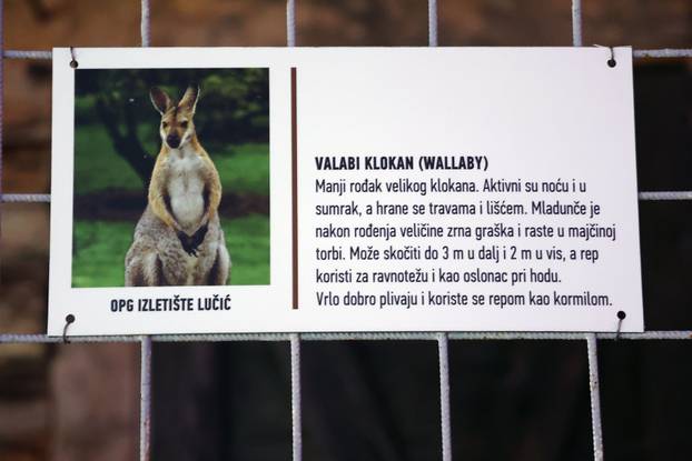 Božićno selo u Gornjem Docu