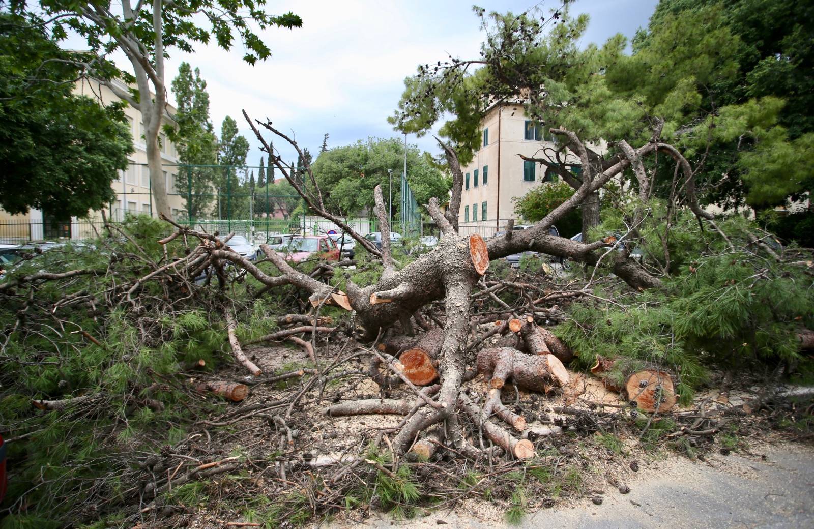 Split: Dva stabla pala na parkirana vozila u Gajevoj ulici