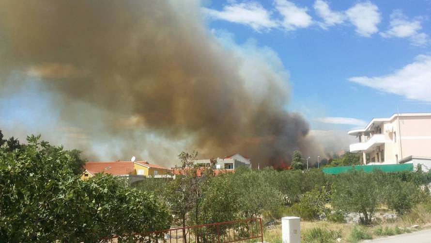 U Žaboriću gori borova šuma, vatrena stihija prijeti kućama