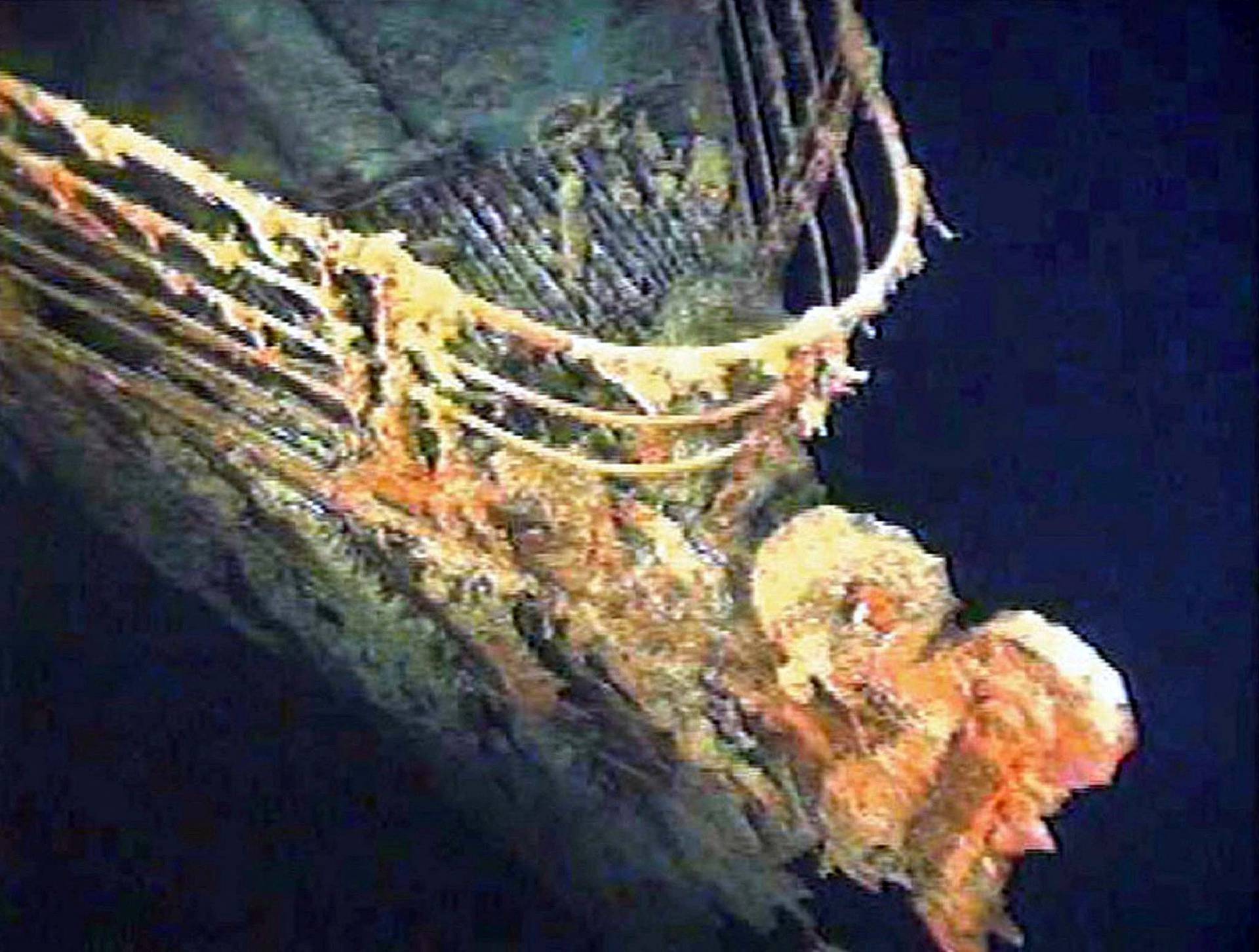 FILE PHOTO: The port bow railing of the Titanic lies in 12,600 feet of water about 400 miles east of Nova Scotia..