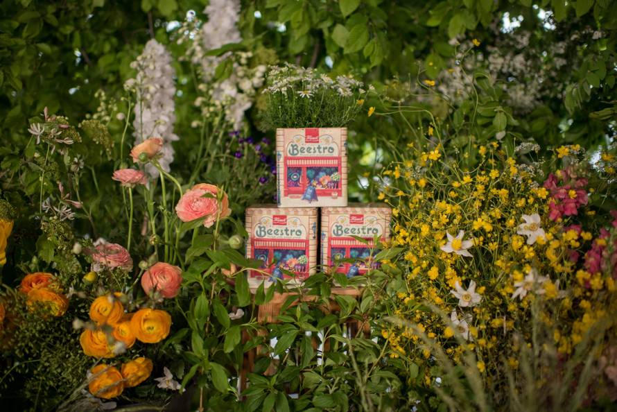 Znate li kada je svjetski dan pčela? Evo kako im zajedno možemo pomoći