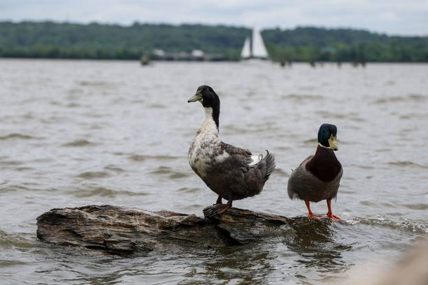 Alexandria, povijesni grad uz rijeku Potomac