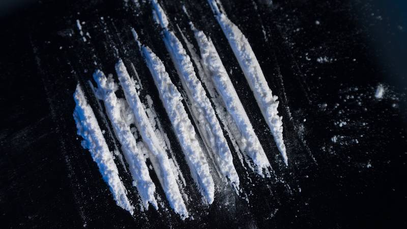 EUDA upozorava na društvene i okolišne posljedice tržišta droga