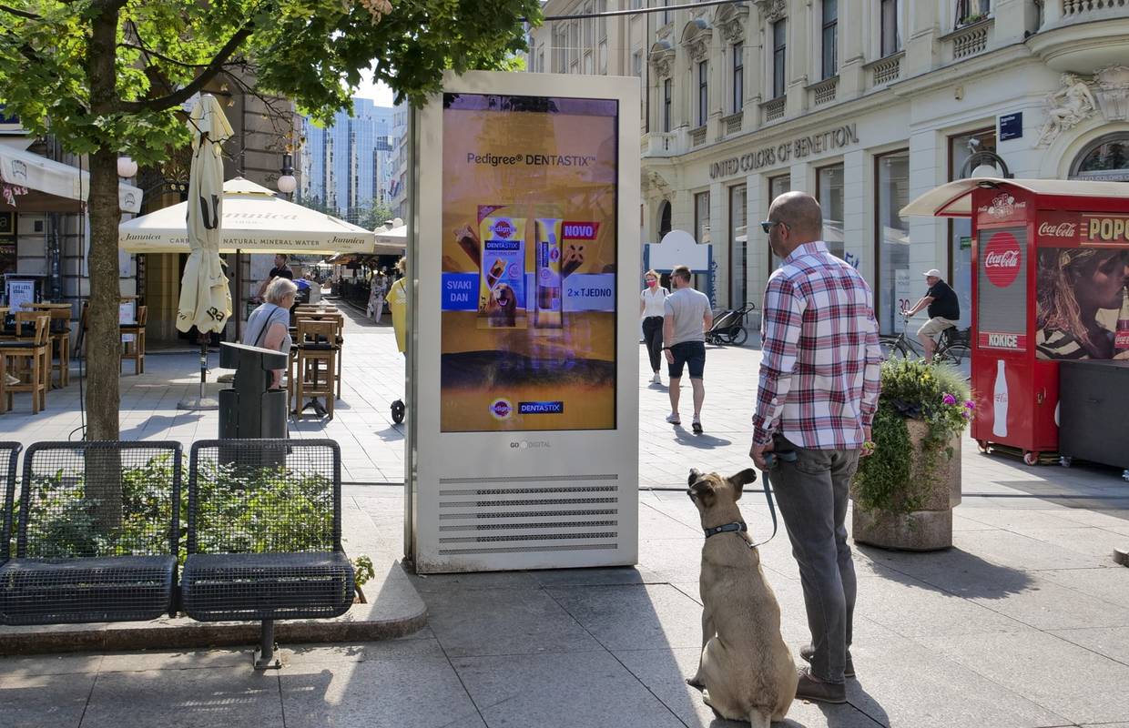 Tehnologija koja prepoznaje pse, a oduševila je u Cannesu
