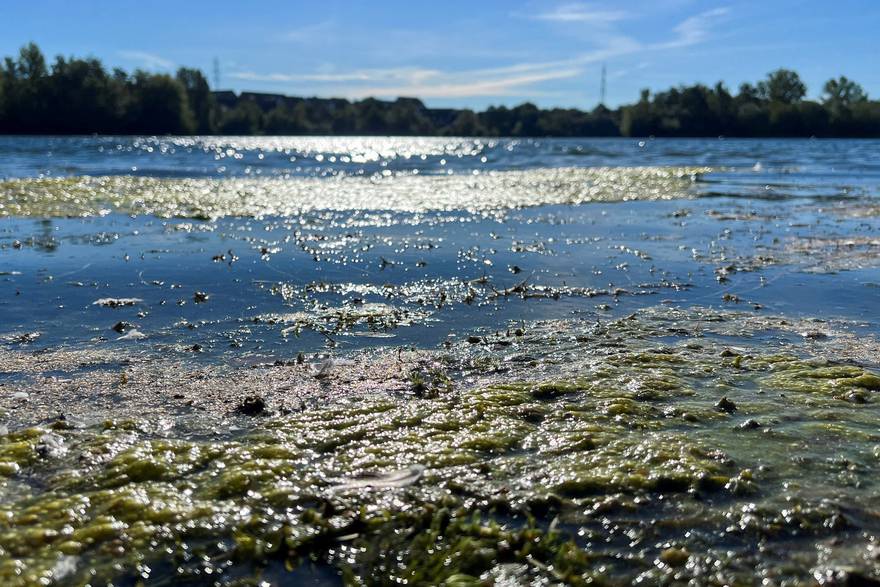 Zatvoreno popularno jezero za kupače u Njemačkoj