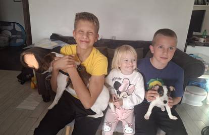 Pas Maks je nestao prije sedam mjeseci, život mu spasio šumar: 'Bio je 500 kilometara od kuće'