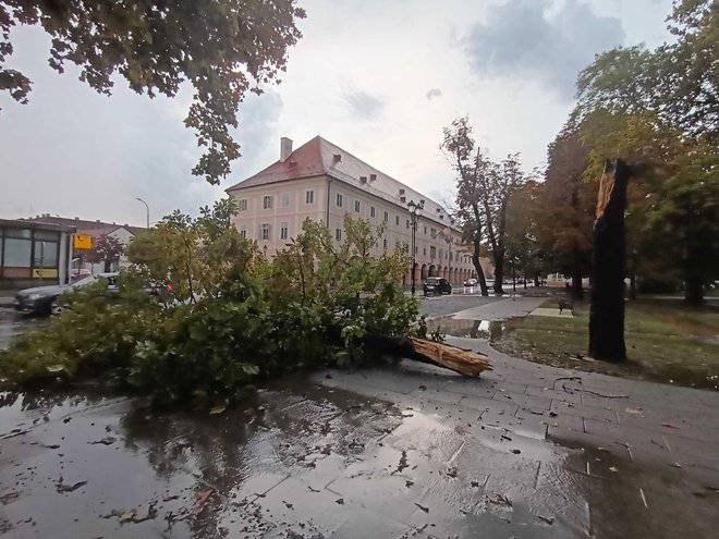 Kaos u Bjelovaru: Snažno nevrijeme rušilo stabla, vatrogasci imali niz intervencija