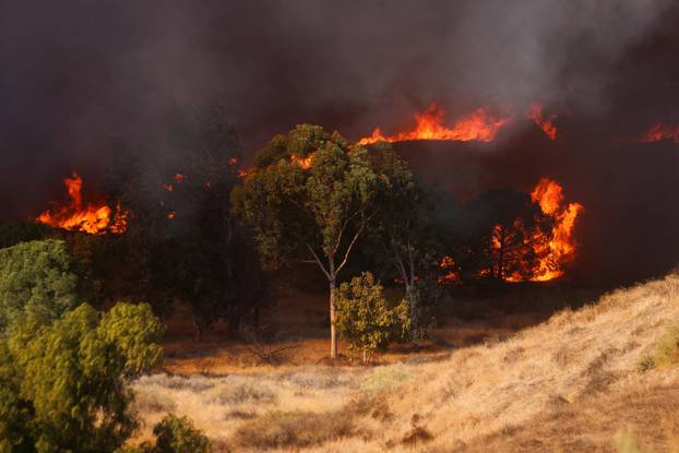 Hughes Fire, near Castaic Lake