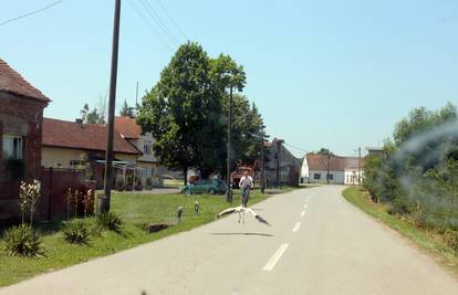 Male rode se drže skupa: Munje i vjetar ubili su im roditelje...