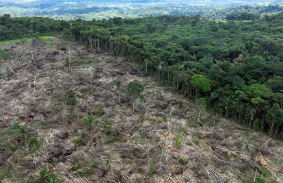 Krčenje šuma u Amazoniji na najnižoj razini od 2019. godine