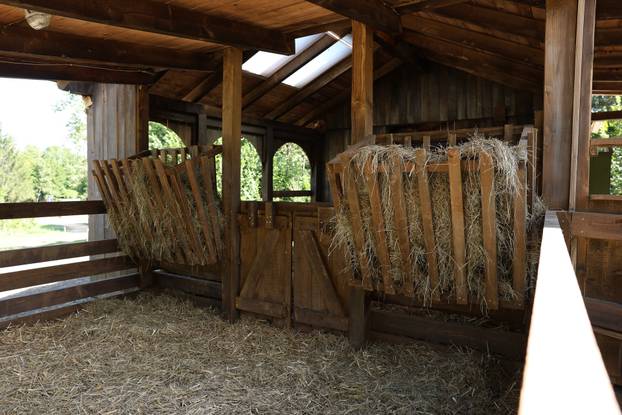 No one wants to finish here! Part of the candidate on ‘Farm’ goes to the barn