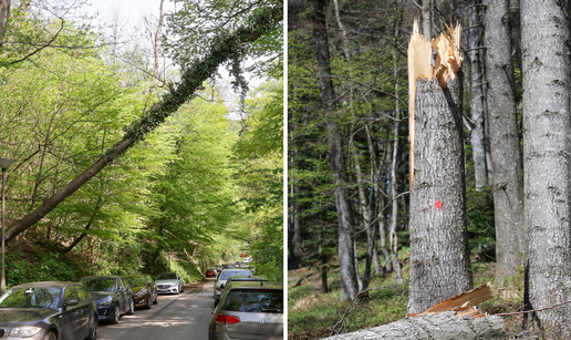 FOTO Sljeme se jo&scaron; uvijek oporavlja od razorne oluje: Evo kako izgleda tri tjedna nakon