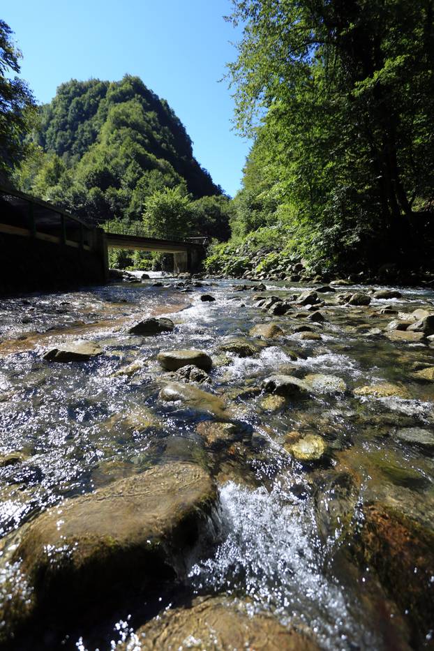 Zeleni vir - zaštićeni rezervat prirodnih vrijednosti u Hrvatskoj