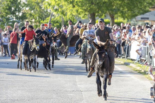 Pula: Održana je tradicionalna 55. Trka na tovari