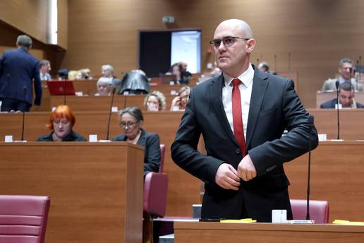 Vrh DP-a nema u planu oglasiti se o Dabrinom veli&ccaron;anju Ante Paveli&cacute;a! Ovo je stav stranke...