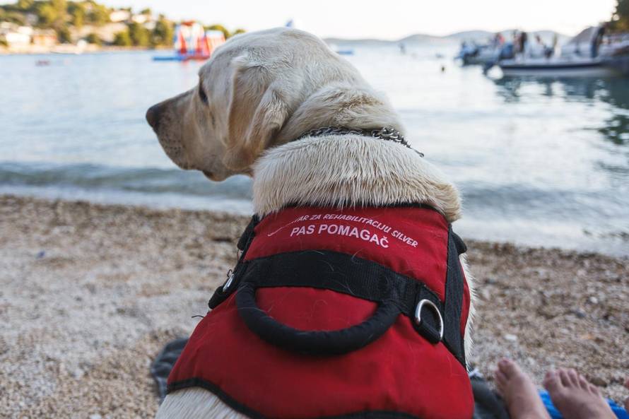 Krše mu prava: 'Sinu invalidu ne daju doći na plažu sa psom'