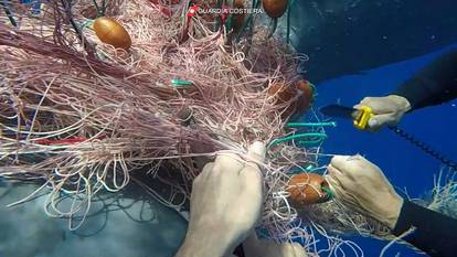 Italian Coast Guard divers free whale caught in fishing net off Lipari coast