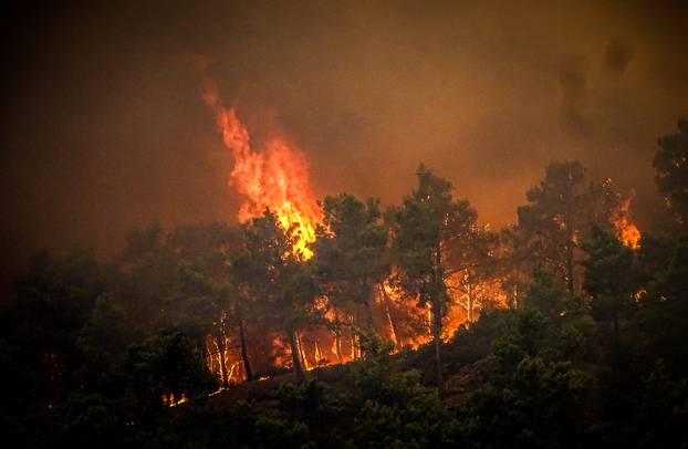 Wildfires burn forests on Greek island of Rhodes