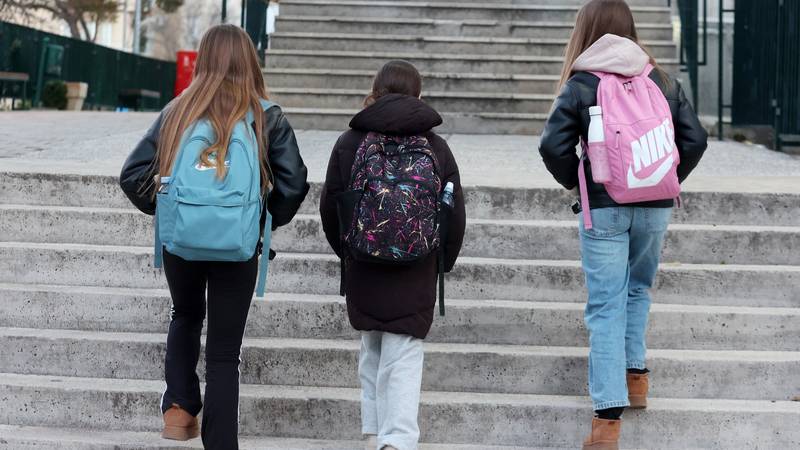 Europski standardi za djecu zvuče krasno, ali istina je drugačija i puno nepravednija