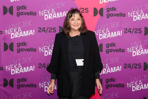 Zagreb:  Premijera predstave "Sokol ga nije volio"