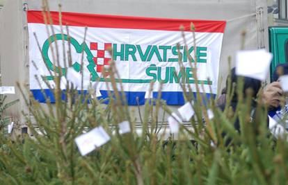 Hrvatske šume će otpustiti 500 radnika, sindikat prosvjeduje