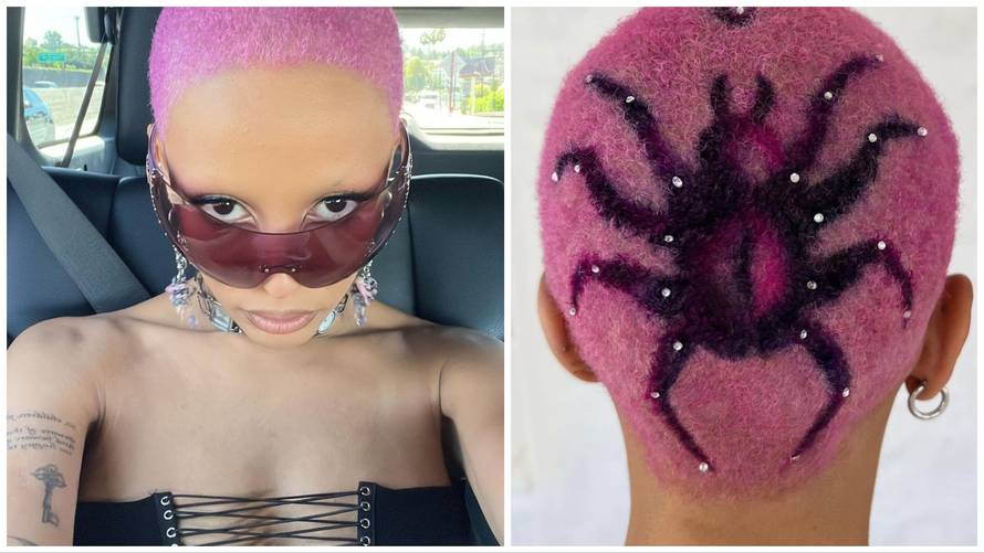 Bizarna frizura pjevačice Doje Cat: 'Nešto nije u redu s tobom'