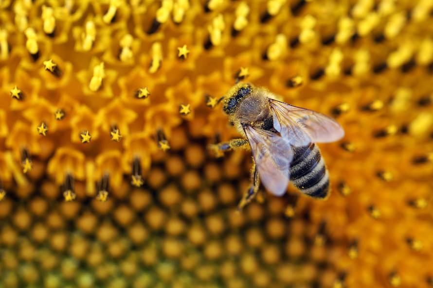 Pogledajte koliko je svijet lijep i zanimljiv - top 16 fotografija