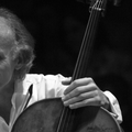 Preminuo je istaknuti hrvatski violončelist Valter Dešpalj