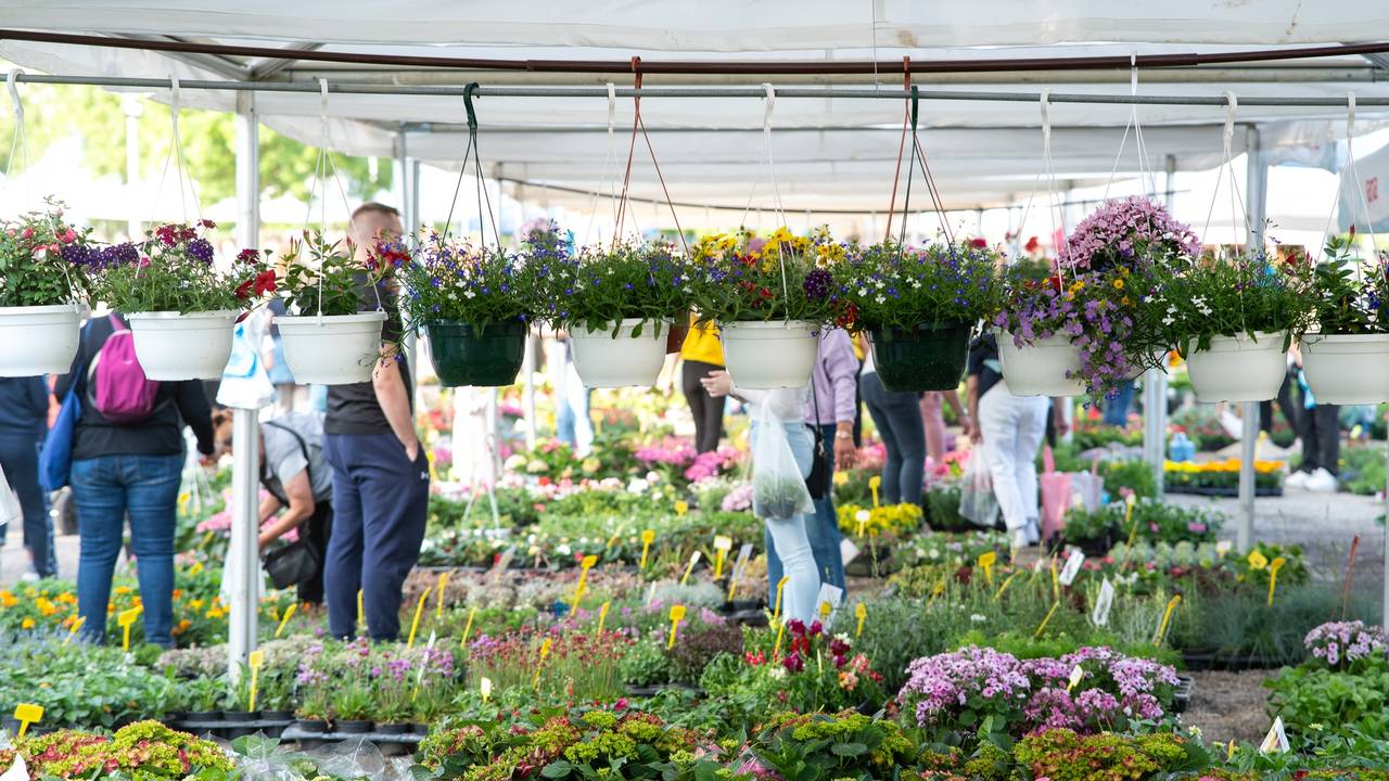 Završio Floraart! Pogledajte prekrasno cvijeće koje je na Bundek privuklo tisuće ljudi