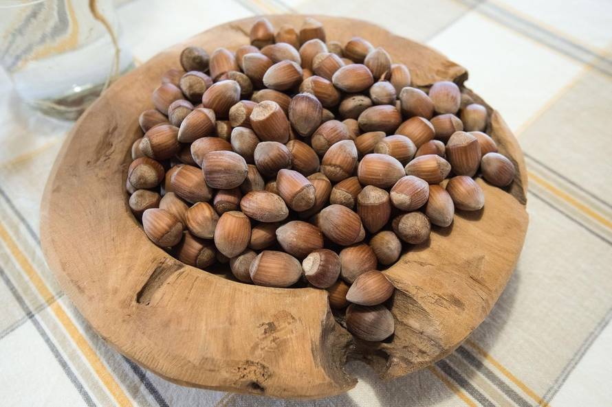 Bajka za sve: Ostvarili smo svoj san i izgradili 'Kuću lješnjaka'