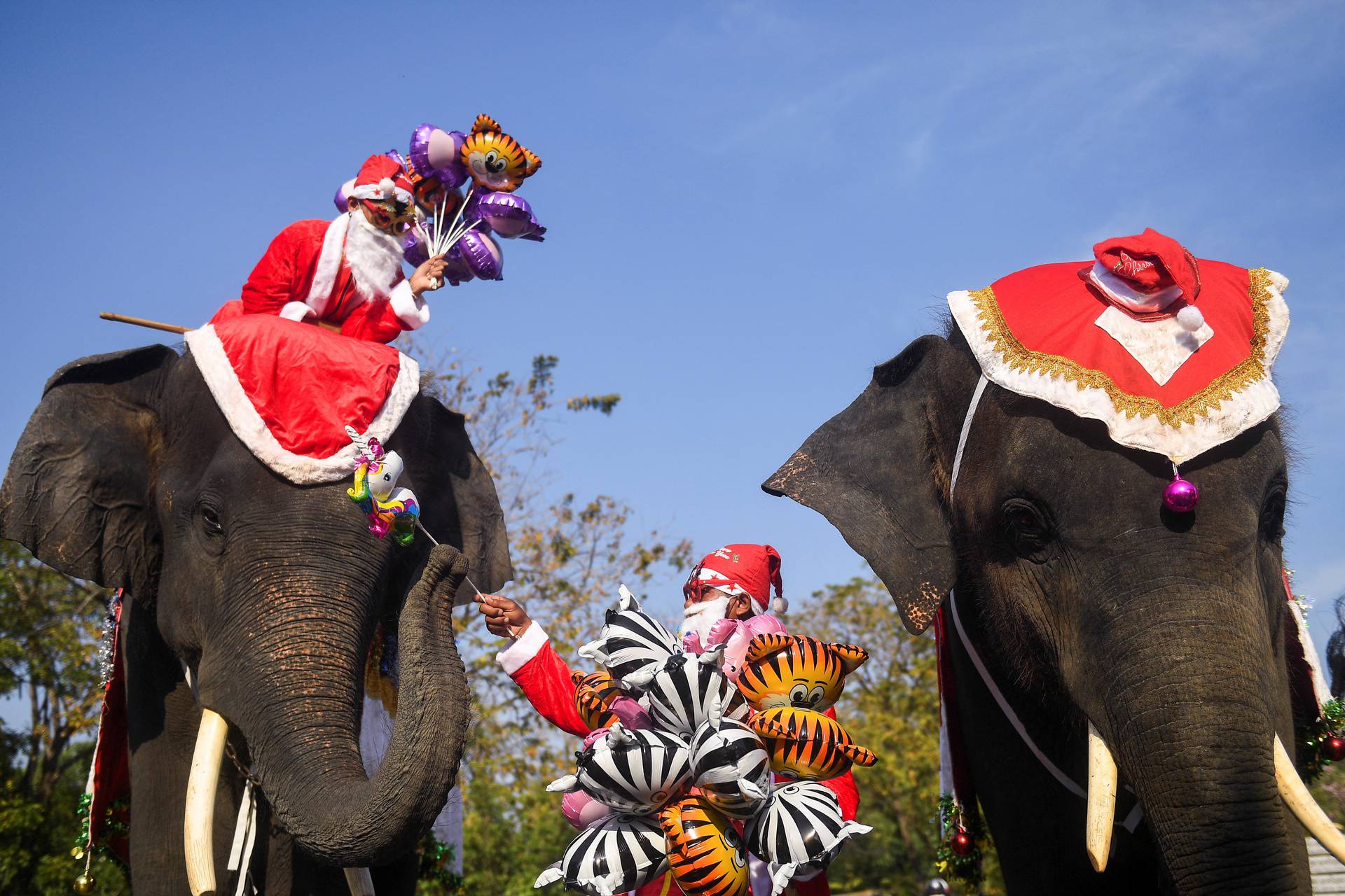 Elephants in Santa Claus costumes visit a school in Ayutthaya