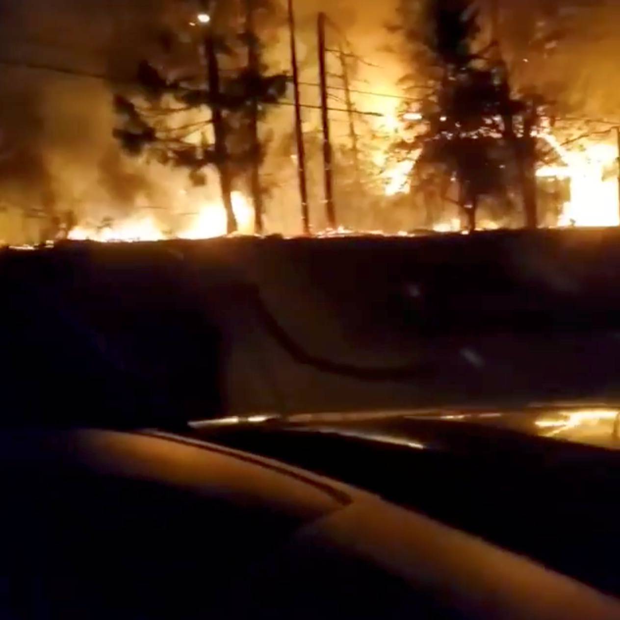 Vegetation is seen on fire along a side road in Molalla, Oregon