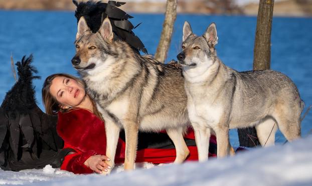 GALERIJA Nastali su od vukova, rođaci su Nazgula s Olimpijskih igara i žive kraj Velike Gorice!