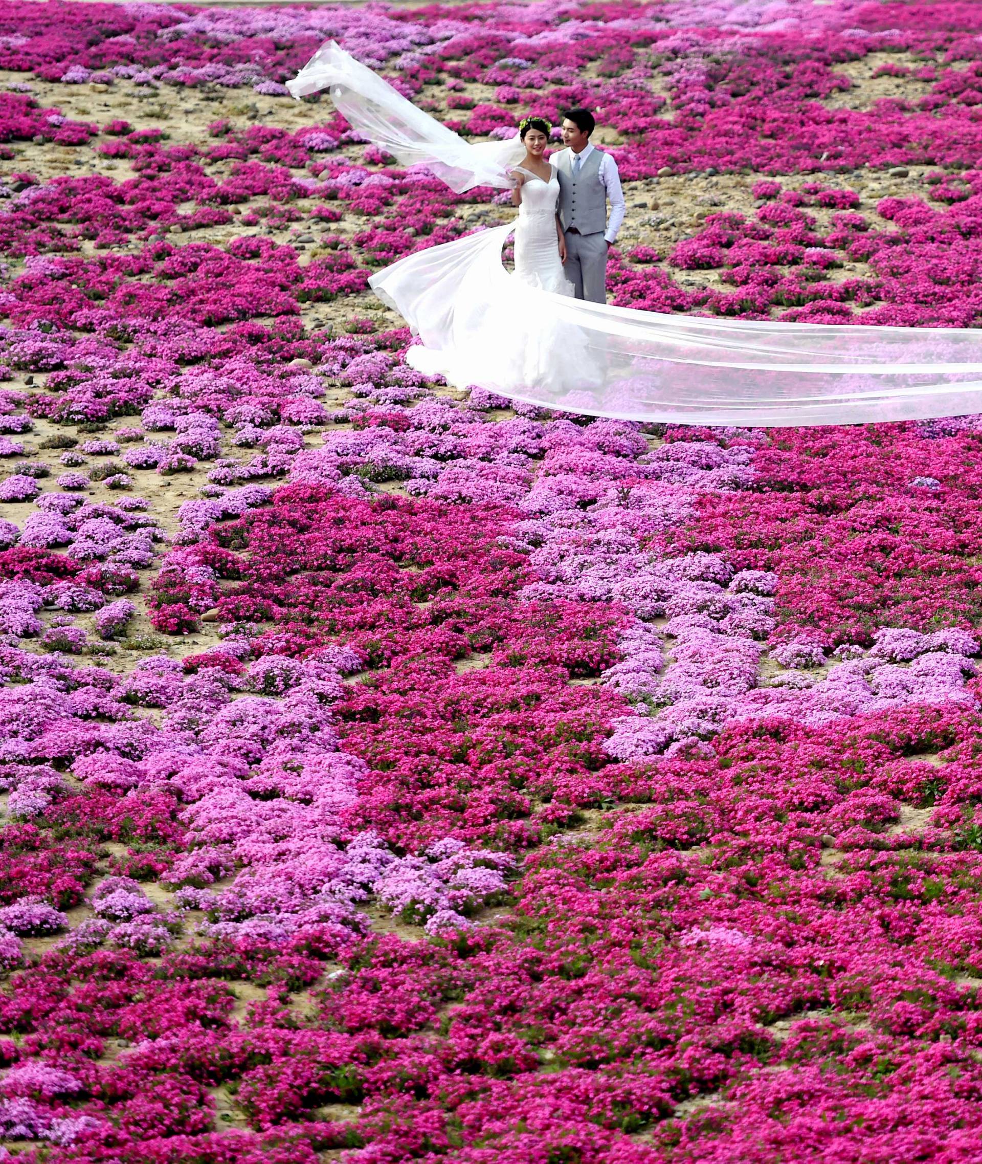 A couple poses for wedding pictures in a park in Luoyang