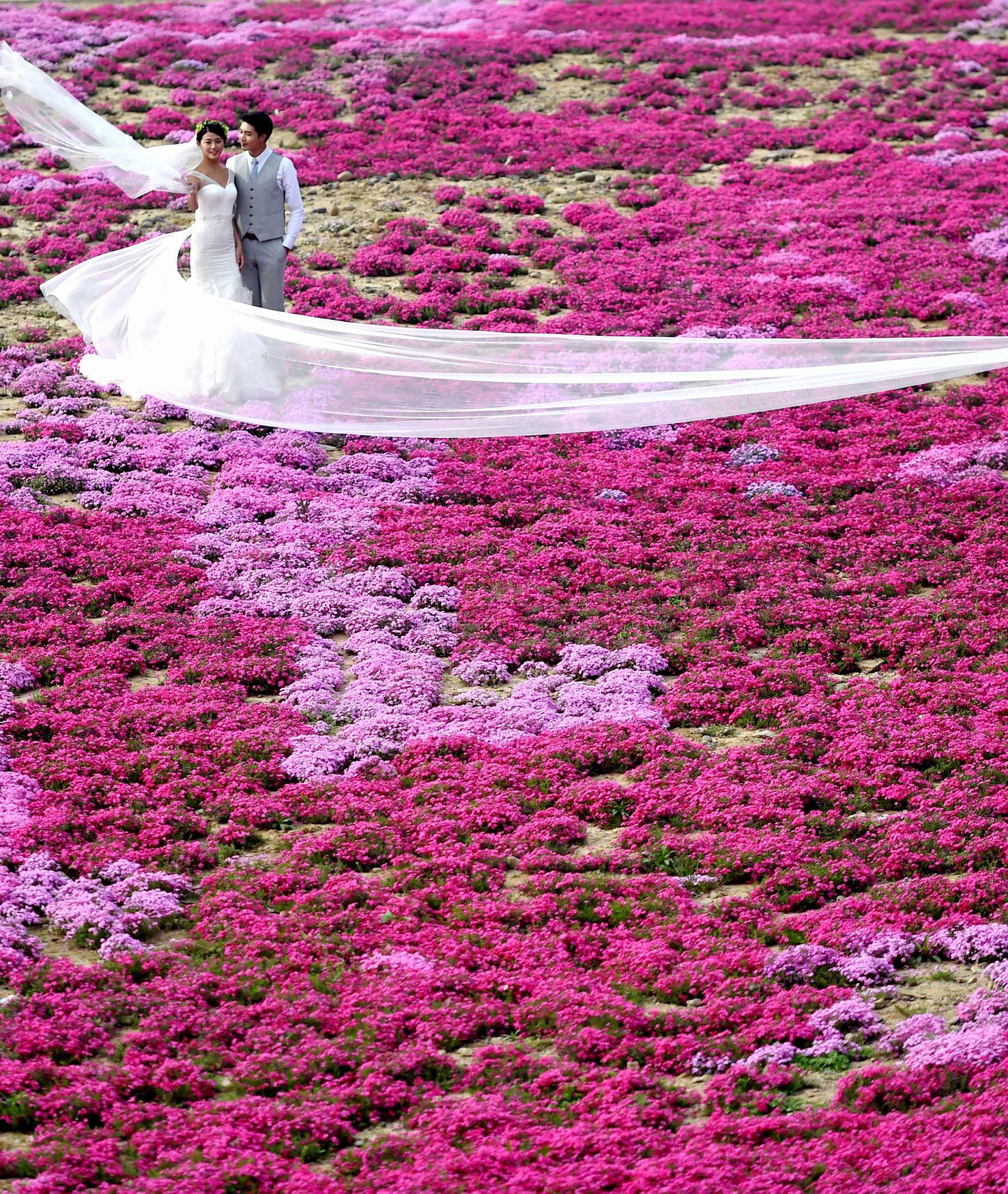 A couple poses for wedding pictures in a park in Luoyang