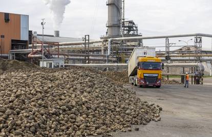 Vlajčić: Proizvodnja šećerne repe od strateškog interesa RH