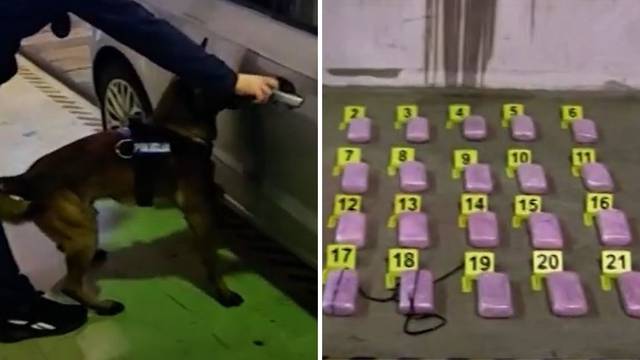 Veliki 'ulov' policije na jugu: Uz pomoć psa Hunta pronašli 11 kg heroina, uhićena dva Albanca...